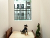 gallery_05