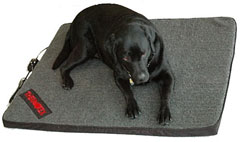 Large dog bed with a dog
