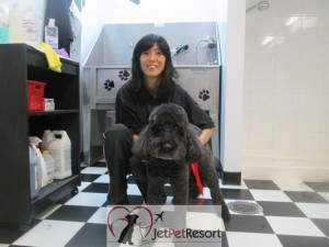Kaori dog wash specialist