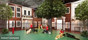 Dog weekend care at Jet Pet Resort indoor courtyard