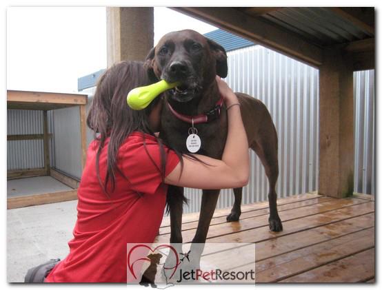 Pet care specialist love at Jet Pet Resort