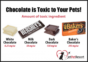Toxic Treats. Chocolate and Candy