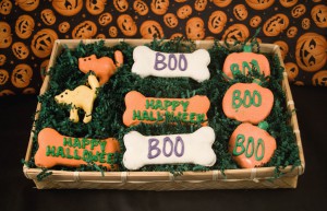 Halloween Basket for Dogs