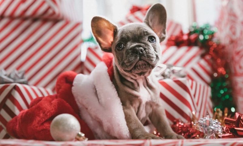 jakob-owens-mpnqu9o4b9w-unsplash-crop