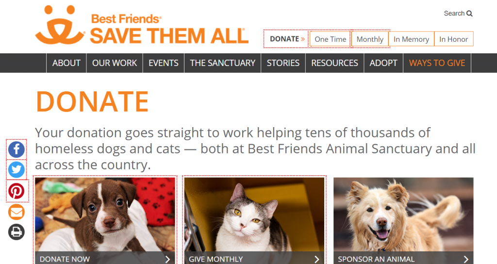 Best Friends Animal Institute