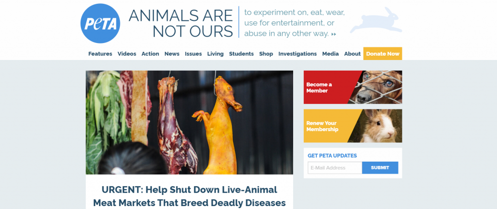 The Animal Cruelty Awareness Project | Jet Pet Resort