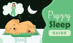 how much sleep do puppies need