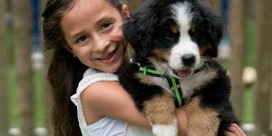 How to Handle a Puppy With Care