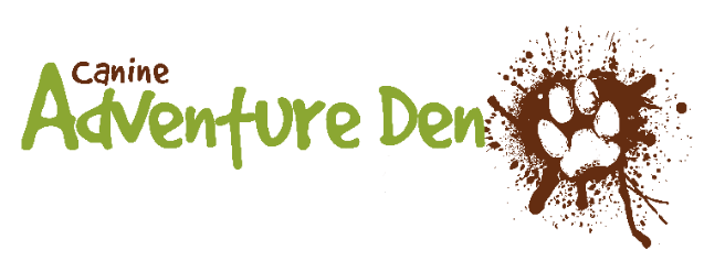 Canine Adventure Den Strathcona