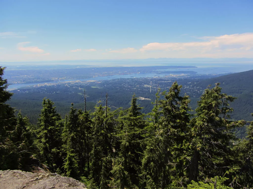 A scenic panorama from the summit of Dog Mountain, showcasing lush evergreen trees in the foreground with a sweeping view of North Vancouver leading to English Bay in the distance. The sky is clear with few clouds, highlighting the natural beauty of the region.