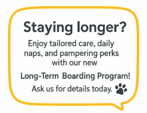 Staying longer? Enjoy tailored care, daily naps, and pampering perks with our new Long-Term Boarding Program! Ask us for details today!