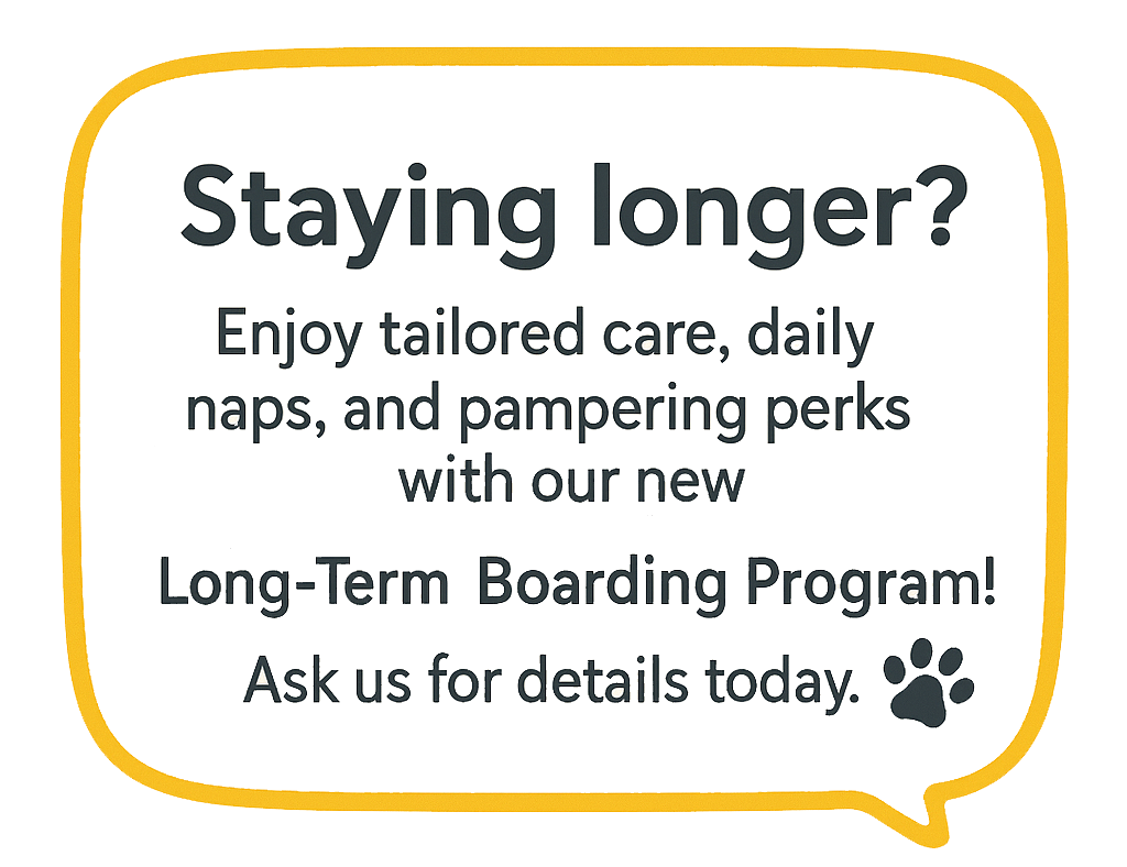 Staying longer? Enjoy tailored care, daily naps, and pampering perks with our new Long-Term Boarding Program! Ask us for details today!