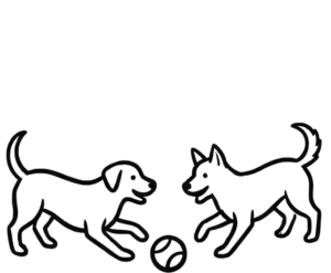 A line drawing of two dogs playing with a ball